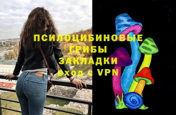 ПСИЛОЦИБИНОВЫЕ ГРИБЫ Богородск