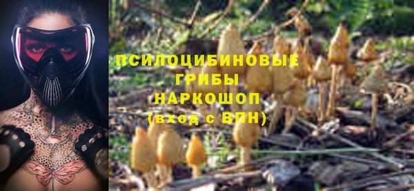 ПСИЛОЦИБИНОВЫЕ ГРИБЫ Богородск